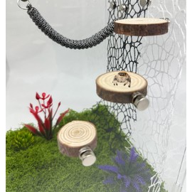 Okueejur 3 Pack Jumping Spider Enclosure Ledges with Magnets Natural Pine Spiders Ledges Magnetic Ledge Ladder Pet Jumping Spider Accessories (Round)