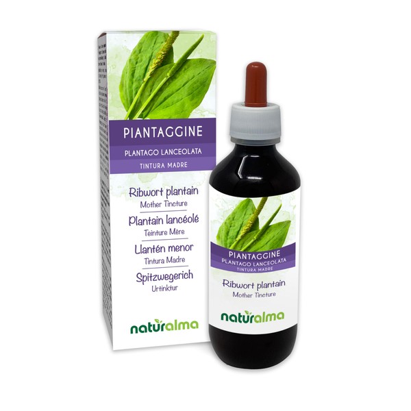 Plantain or Lung Leaf (Plantago lanceolata) Leaves Alcohol-Free Mother Tincture Naturalma Liquid Extract Drops 200 ml Dietary Supplement Vegan