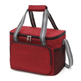 FAVORTALK Boys Lunch Bag Insulated Leakproof Cool Bag Lunch Box with Shoulder Strap Reusable Thermal Soft Cooler Tote Bag for Adults Kids Work Office School Picnic, 11606