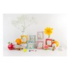 The Vedas garden of Fruits Premium Herbal Tea Selection Gift