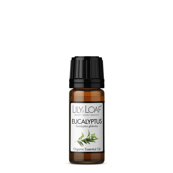 Lily & Loaf Eucalyptus Organic Essential Oil (Eucalyptus Globulus) |