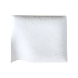 WASARA Disposable Paper Plates, Square Plates, Large Packaging, Pack of 6