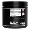 Giant Sports Creatina Monohidratada 5000mg / 500g / 100 Serv