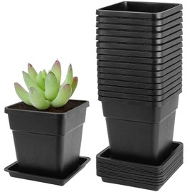 JEUIHAU 16 Paquetes de macetas cuadradas de plástico de 5,5 Pulgadas, Maceta Cuadrada Negra con platillos, Maceta de trasplante para Flores, suculentas, Hierbas, pequeñas Plantas en Maceta