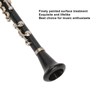 Miniature Clarinet Replica with Stand and Case Musical Instrument Model