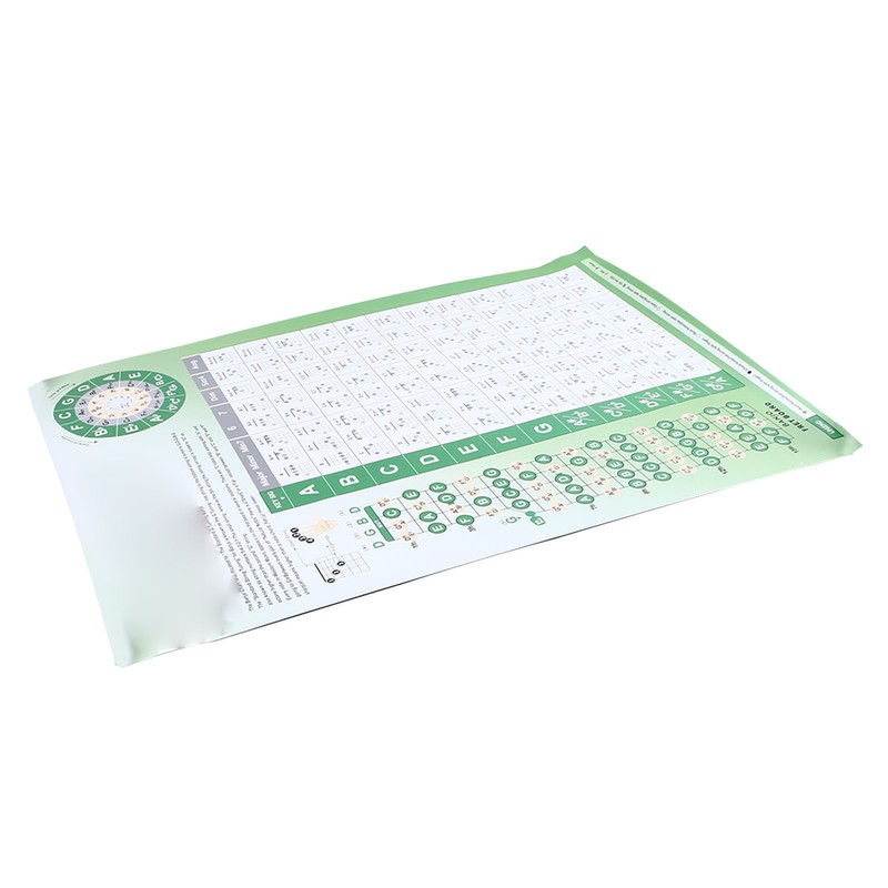 Banjo Chord Chart Feature and Tune Fingering Poster Coated Paper