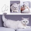 Breathable Cat Muzzle Anti-bite Grooming Muzzle Mask Transparent Kitten Mouth