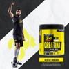 34 Zero Creatina Monohidratada 350g 70 Servicios