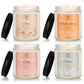 M&SENSE Fall Winter Candle Set, 4 Pack Winter Soy Candles for Home Scented, Holiday Christmas Candle Gifts - Autumn Scents of Vanilla Chai/Spiced Apple/Pine Cone/Rum Maple Syrup MSS606S1