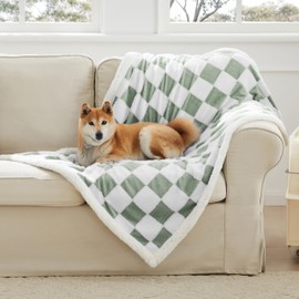 Ohocut Checkered Dog Blanket, Sage Green Jacquard Sherpa Blankets for Small Dog and Cats, Cute Aesthetic Style Fluffy Fleece Pets Blanket for Couch Protection Washable, 30"x40"