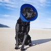 newsbirds Collar for Dogs, Lightweight, Comfortable, Soft, Recovery, Elizabethan Collar