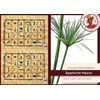 Forum Traiani Papyrus Sheet 21 x 16 cm, Natural Edge,