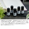 Incent Design Blend Essential Oil Aroma Oil Set of 3