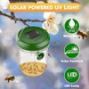 Wasp Traps for Hunting Wasps, Bees, Hornets, Insects, Yellow Jacket