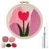 HASTHIP - HANNEA® Kit de Arte de Aguja Mágica de