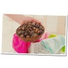 Magic Washberries Organic laundry soap nuts Magic Washberries berries 20
