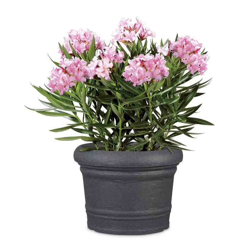 Scheurich Formia 30 Round Black Granite Planter/Planter/Planter Made with Recycled