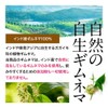 オーガランド ギムネマ 粉末 パウダー 100g インド産 無添加 ギムネマ酸 グルマール ギムネマシルベスタ