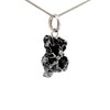 Starborn Campo de Cielo Meteorite Pendant Necklace (20")