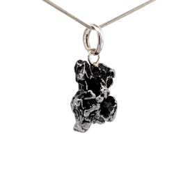 Starborn Campo de Cielo Meteorite Pendant Necklace (20")