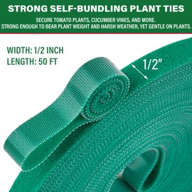 NBTORCH 50 ft x 1/2 inch Reusable Plant Ties Roll for Indoor & Outdoor Plants, Non-Toxic Soft Garden Ties, Cut-to-Length Nylon Ties, Gentle Support for Climbing Plants, Tomato Peppers & Vines, Green