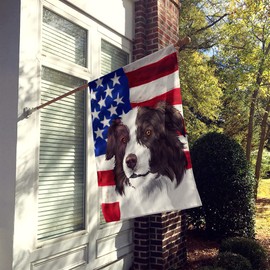 Caroline's Treasures CK6447CHF Border Collie Dog American Flag House Flag Large Porch Sleeve Pole Decorative Outside Yard Banner Artwork Wall Hanging, Polyester, House Size, Multicolor