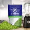 Polvo de té verde matcha japonés Ujido