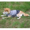 Vecomfy Reversible Dog Coats for Small Dogs Waterproof Warm Puppy