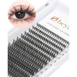 Obeyalash Spire Lashes for Professional Premade Fan Eyelash Extensions Individual Eyelashes Easy Fans D Curl Mixed 9-13mm 12 Rows 240pcs Clusters Wet Set/Anime/Manga Styles Lashes