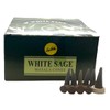 Sreevani Natural Masala Incense Cones and Holder Bundle, 120 Cones