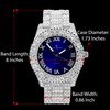 Charles Raymond Hip Hop iced Out Blinged Men's New Diamond