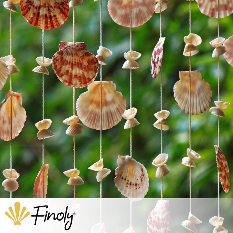Finoly Large Natural Shells Pack 4/8/12/16 Pieces for Kitchen Decoration