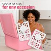 Cool Coolers XXL Fashion Ice by Fit + Fresh, 2pk