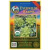 Everwilde Farms - 1 Oz Organic Romanesco Broccoli Seeds -