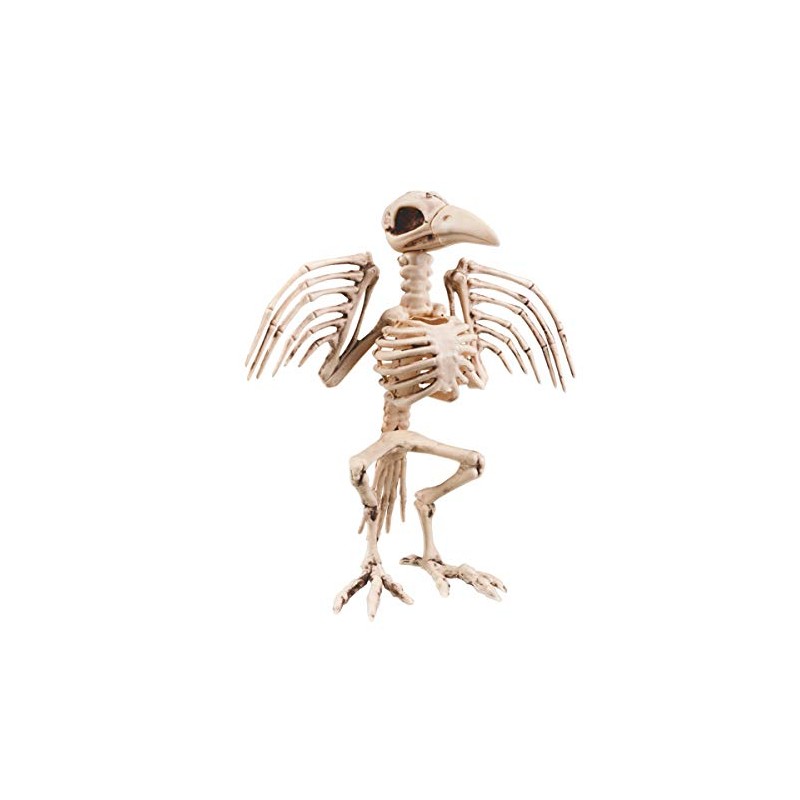 Boland Skeleton Bird Decoration (32 Cm)