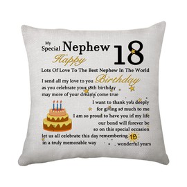 Hasodeo Niece Nephew Birthday Gift Cushion Cover from Aunt Funny 18th 21st Birthday Pillow Cover Throw Pillow Cover Gift (Nephew 18th)