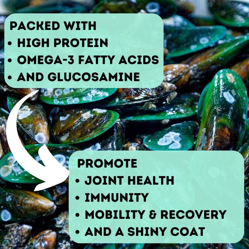 BACK 40 DOGS Freeze-Dried Green Lipped Mussels - Size: 2oz,