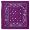 Grape Paisley Bandana - Single Piece 14x14