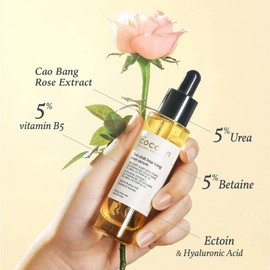 Cocoon Organic Rosewater Serum 30ml Brightening & Hydrating Face Serum With Vitamin B5, For All Skin Types Made In Viet Nam