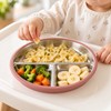 3-Pack Stainless Steel Divided Suction Plates for Kids – 3-Section
