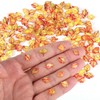 210pcs Mini Fall Leaves, 5 Styles Funny Miniature Autumn Leaves
