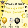 Graduation Decorations Set with Calss of 2025 Banner with 15