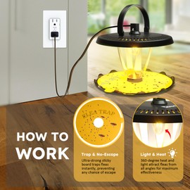 Flea Trap for Inside Your Home Indoor Electric Flea Light Catcher and Kiler for House 2 Pack with 8 Sticky Pads Refills and 4 Replacement Lightbulb