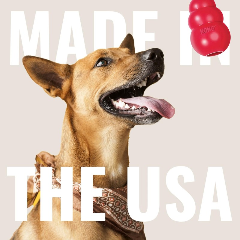 KONG Ring - Natural Rubber Ring Toy for Healthy Chewing