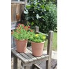 Gardens Eco Pot Series