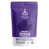 HYBRID HERBS – Organic Wild Chaga Mushroom Powder 10X Strength