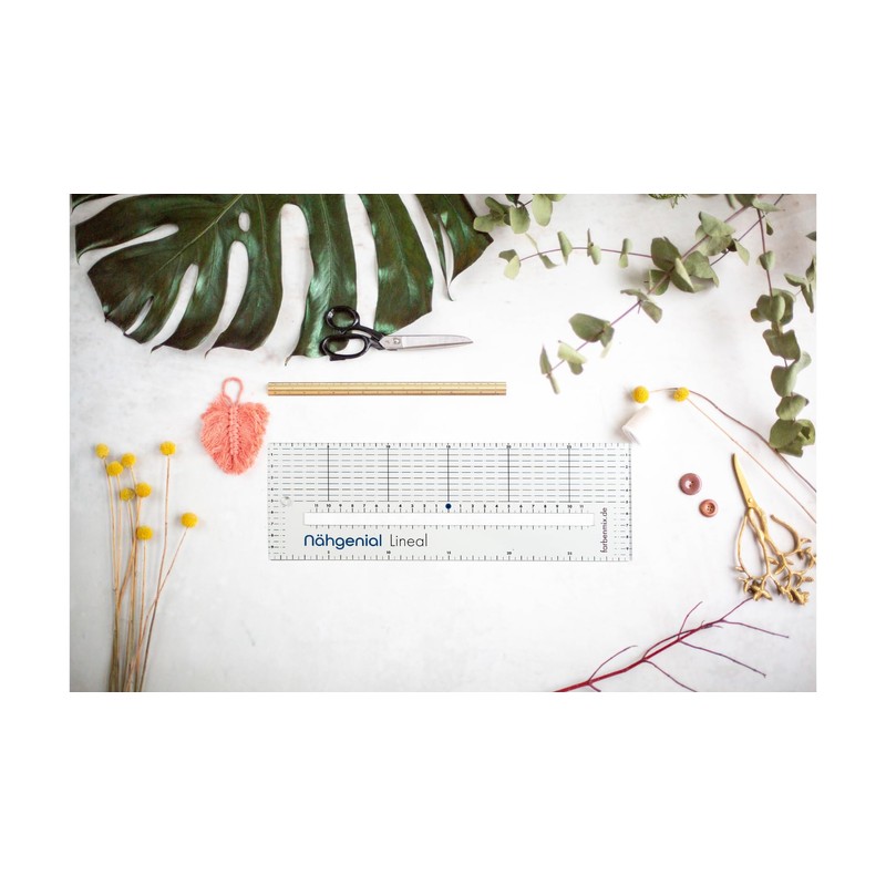Farbenmix Nähgenial Stylefix Sewing Ruler with Cut-Out, 30 x 10