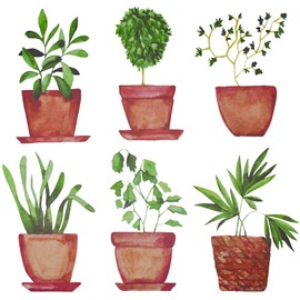 Maydahui 6 Sheets Freshness Green Potted Plant Wall Decals Plant Wall Stickers for Living Room Classroom Kids Bedroom Kitchen Decor