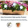 8 Pack Plant Watering Globes Automatic Watering Globes Plant Self