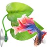 Boao 4 Pieces Betta Bed Leaf Hammock for Betta Fish,